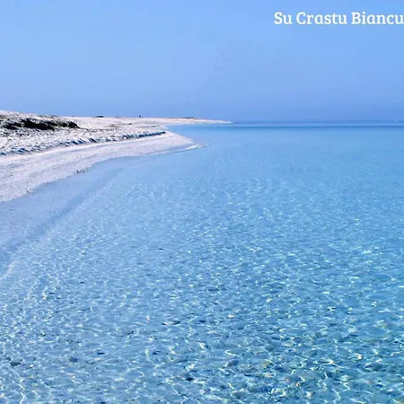 10 Minuti Dalla Sartiglia - Casa Laila
